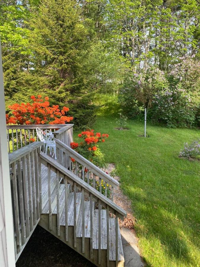 Sea La Vie Apartment Mahone Bay Exterior photo