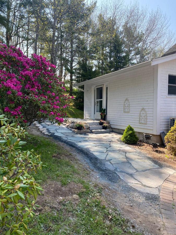 Sea La Vie Apartment Mahone Bay Exterior photo